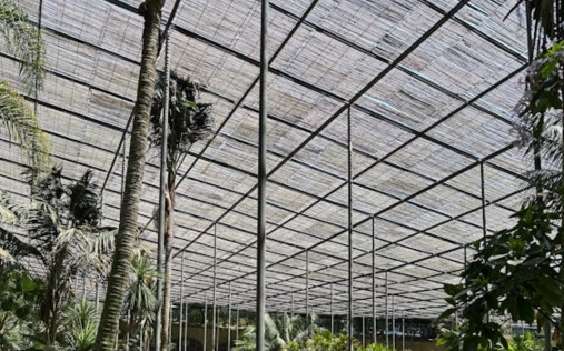 Flat Roof Conservatory